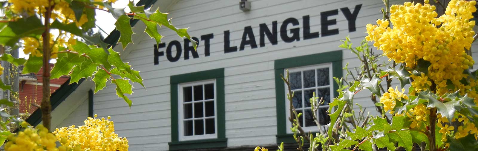 Lead Abatement Langley