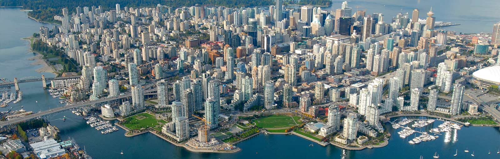 Mold Remediation Vancouver